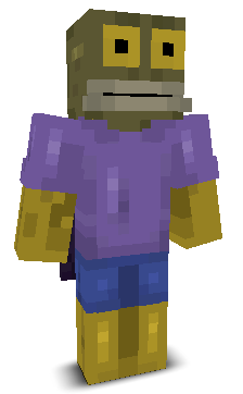 User's Minecraft appearance