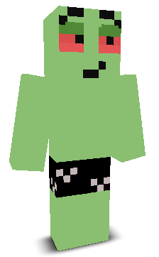 User's Minecraft appearance