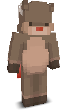 User's Minecraft appearance