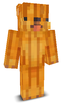 User's Minecraft appearance