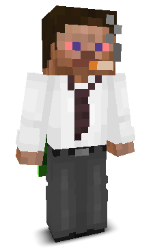 User's Minecraft appearance