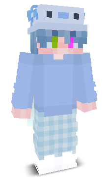 User's Minecraft appearance