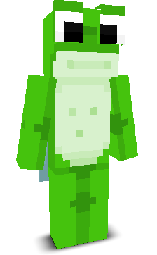 User's Minecraft appearance