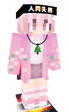 User's Minecraft appearance