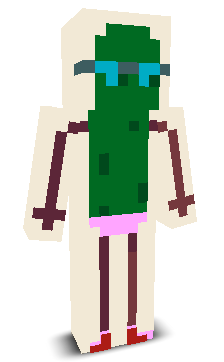 User's Minecraft appearance
