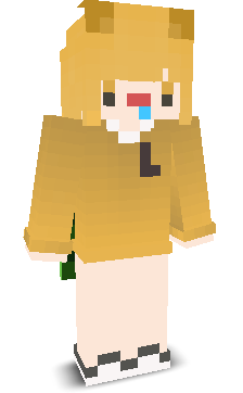 User's Minecraft appearance