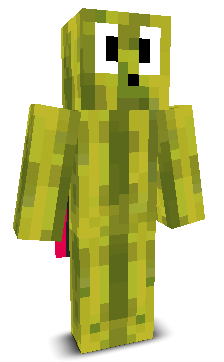 User's Minecraft appearance