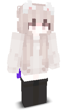 User's Minecraft appearance