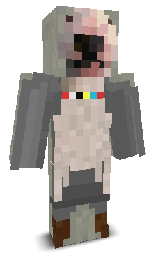 User's Minecraft appearance