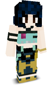 User's Minecraft appearance