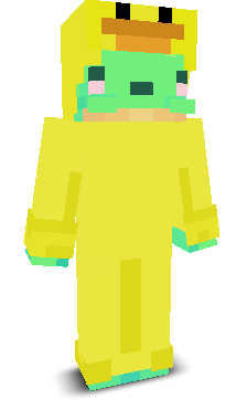 User's Minecraft appearance