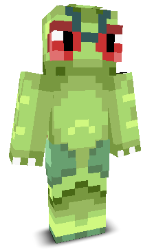 User's Minecraft appearance