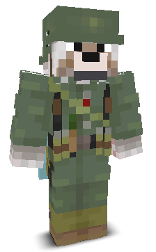 User's Minecraft appearance