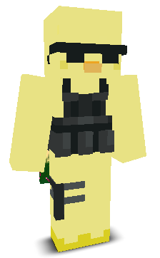 User's Minecraft appearance