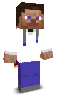 User's Minecraft appearance