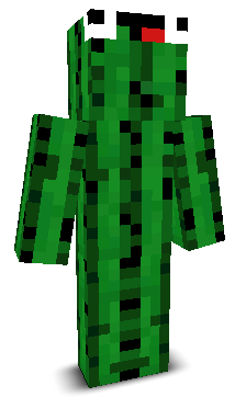 User's Minecraft appearance