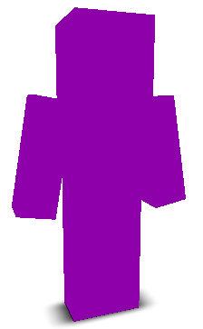 User's Minecraft appearance