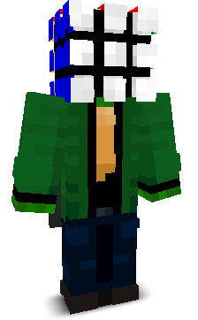 User's Minecraft appearance