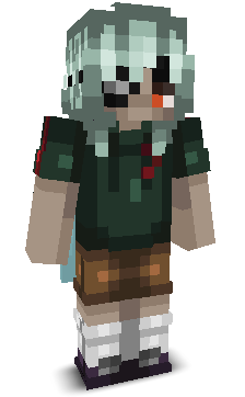 User's Minecraft appearance