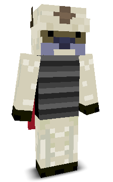 User's Minecraft appearance
