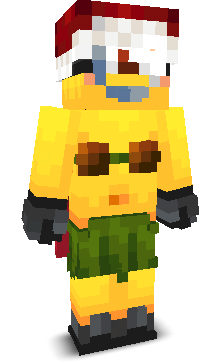 User's Minecraft appearance