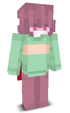 User's Minecraft appearance