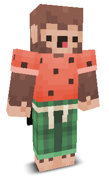 User's Minecraft appearance
