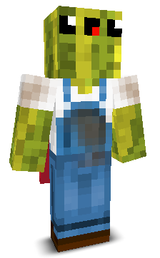 User's Minecraft appearance