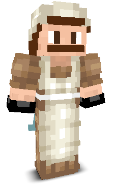 User's Minecraft appearance