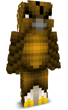 User's Minecraft appearance