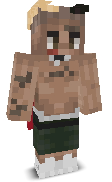 User's Minecraft appearance