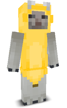 User's Minecraft appearance