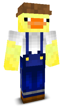 User's Minecraft appearance