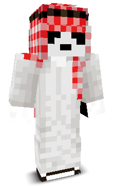 User's Minecraft appearance