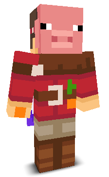 User's Minecraft appearance