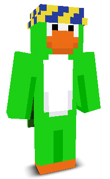 User's Minecraft appearance