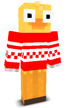 User's Minecraft appearance