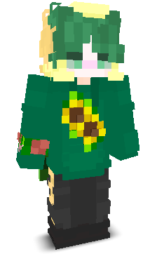 User's Minecraft appearance