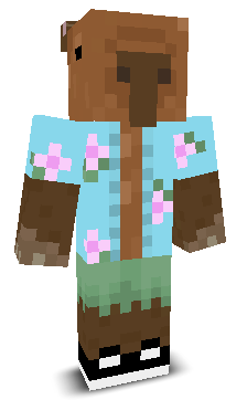 User's Minecraft appearance