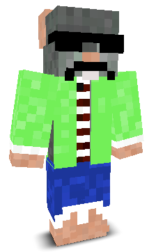 User's Minecraft appearance