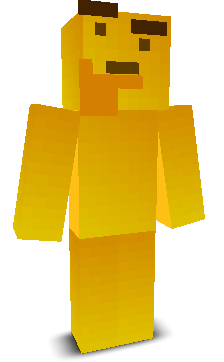 User's Minecraft appearance