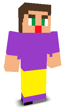 User's Minecraft appearance