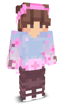 User's Minecraft appearance