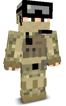 User's Minecraft appearance