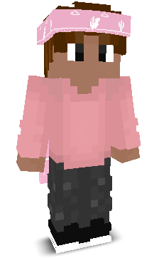 User's Minecraft appearance