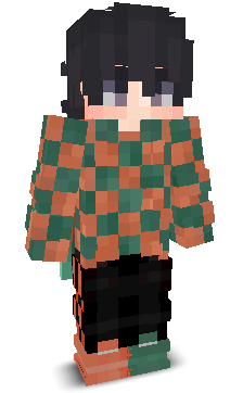 User's Minecraft appearance