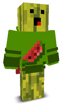 User's Minecraft appearance
