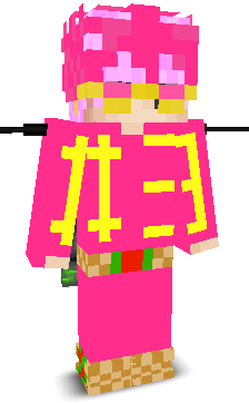User's Minecraft appearance