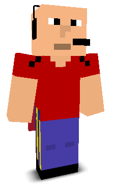 User's Minecraft appearance