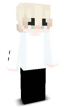 User's Minecraft appearance